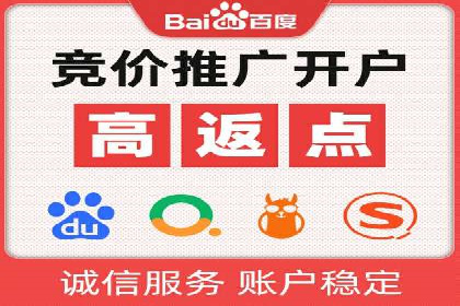 竞价推广公司案例揭秘：如何利用数据分析提升广告效果